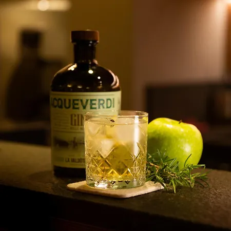 Vallee Blanche Hotel Courmayeur